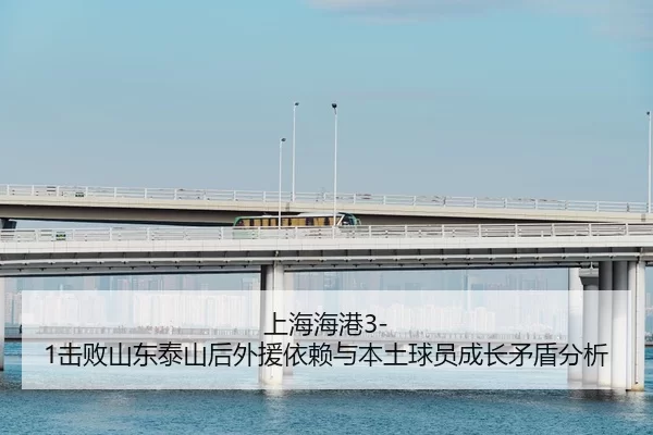 shang-hai-hai-gang-ji-bai-shan-dong-tai-shan-hou-wai-yuan-yi-lai-yu-ben-tu-qiu-yuan-cheng-zhang-mao-dun-fen-xi-2-153.jpg